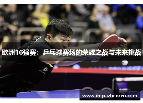 欧洲16强赛：乒乓球赛场的荣耀之战与未来挑战