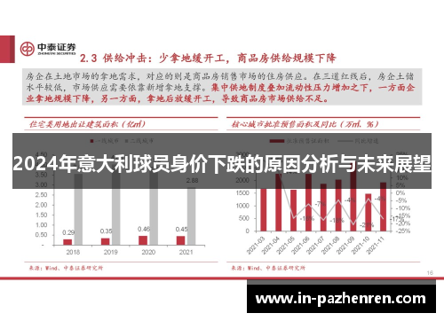 2024年意大利球员身价下跌的原因分析与未来展望