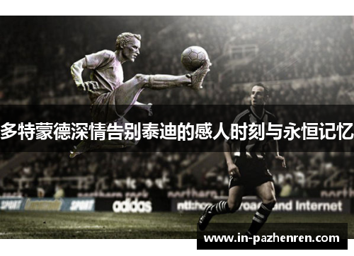 多特蒙德深情告别泰迪的感人时刻与永恒记忆