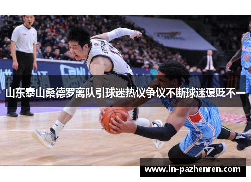 山东泰山桑德罗离队引球迷热议争议不断球迷褒贬不一