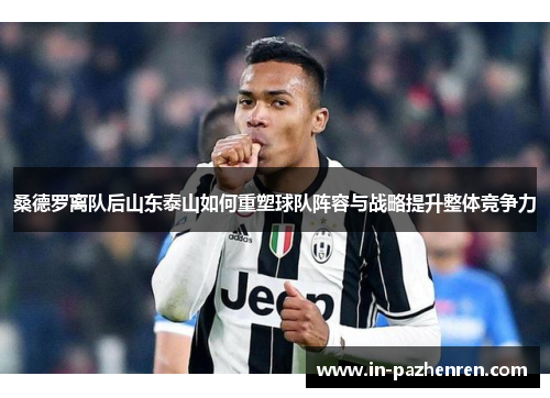 桑德罗离队后山东泰山如何重塑球队阵容与战略提升整体竞争力 桑德罗离队后山东泰山如何重塑球队阵容与战略提升整体竞争力