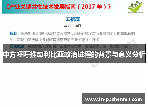 中方呼吁推动利比亚政治进程的背景与意义分析