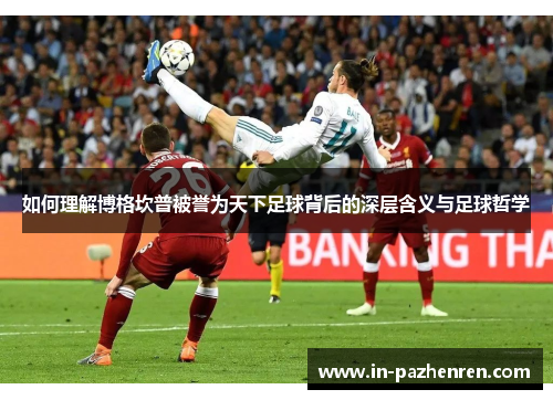 如何理解博格坎普被誉为天下足球背后的深层含义与足球哲学