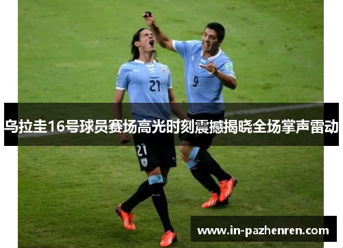 乌拉圭16号球员赛场高光时刻震撼揭晓全场掌声雷动