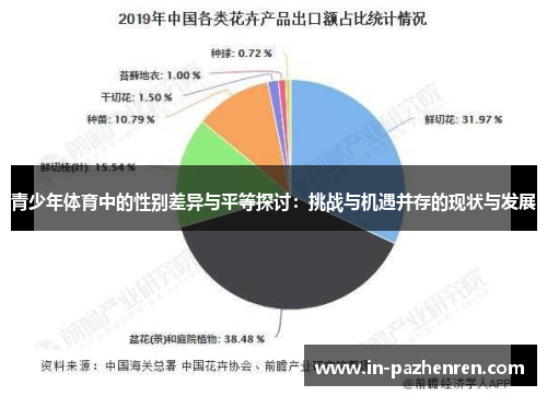 青少年体育中的性别差异与平等探讨：挑战与机遇并存的现状与发展